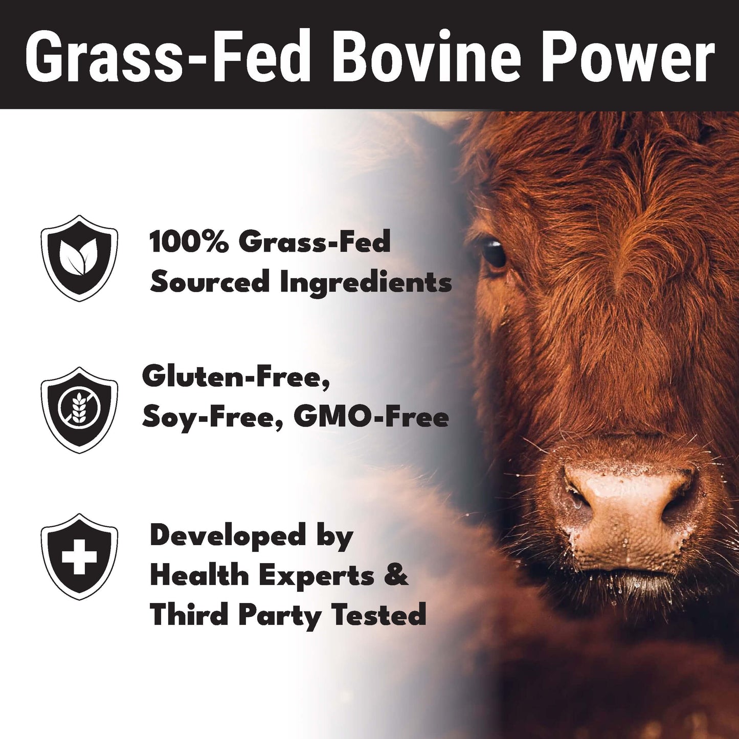 WHOLESALE: Noble Nose-To-Tail Protein Shake With Organs