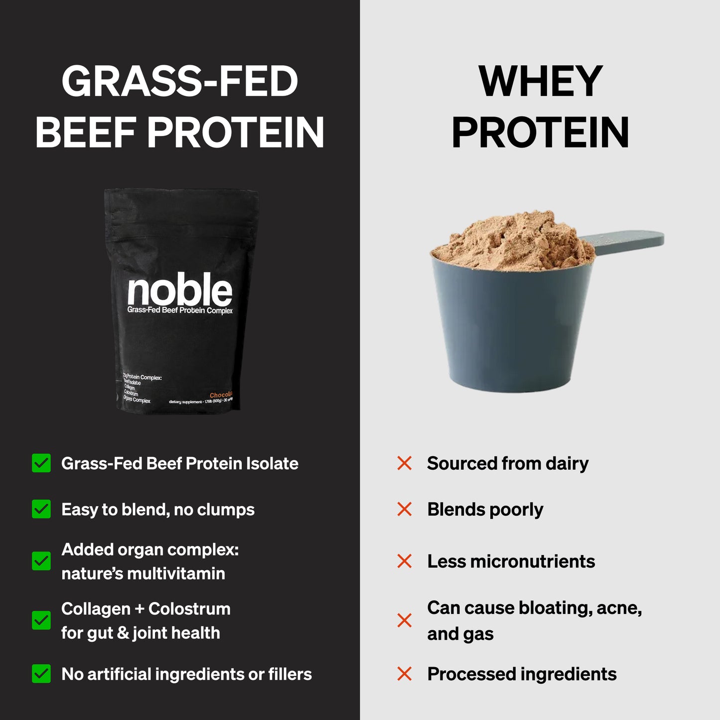 Noble All-in-One Protein: Chocolate