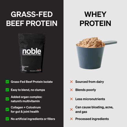 Noble All-in-One Protein: Chocolate